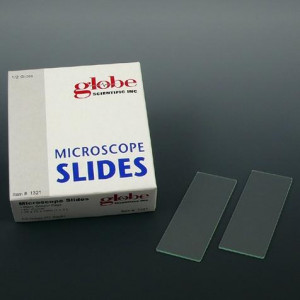 Microscope Slides, Glass, 25 x 75mm, 45? Beveled Edges, Clipped Corners, Plain, 72/Box, 20 Boxes/Case (10 Gross)