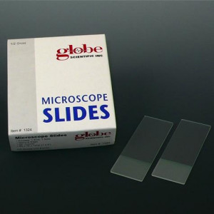Microscope Slides, Glass, 25 x 75mm, 45? Beveled Edges, Clipped Corners, Pink Frosted, 72/Box, 20 Boxes/Case (10 Gross)