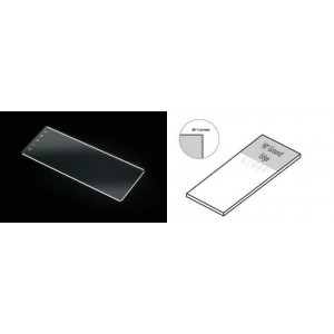 Microscope Slides, Glass, 25 x 75mm, 90? Ground Edges, Plain, 72/Box, 2 Boxes/Case (1 Gross)