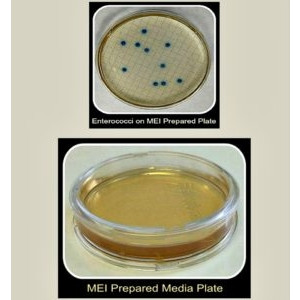 Aquaplates MEI Media Method USEPA 1600 for Enterococcus, EPA Approved for NPDES Reporting (12 per Sleeve)